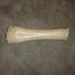 bone